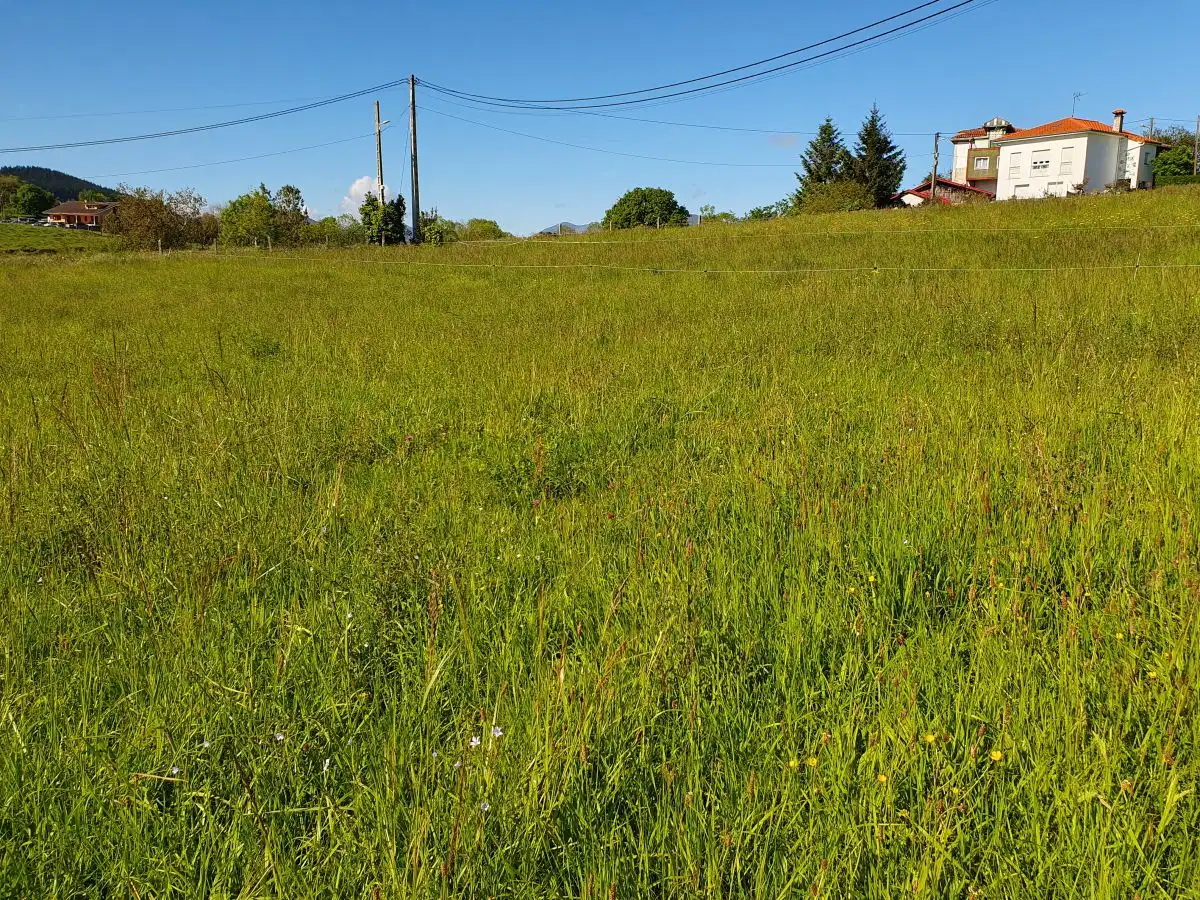 Grundstücke und Bauplätze zum Verkauf in Grado, imagen 13