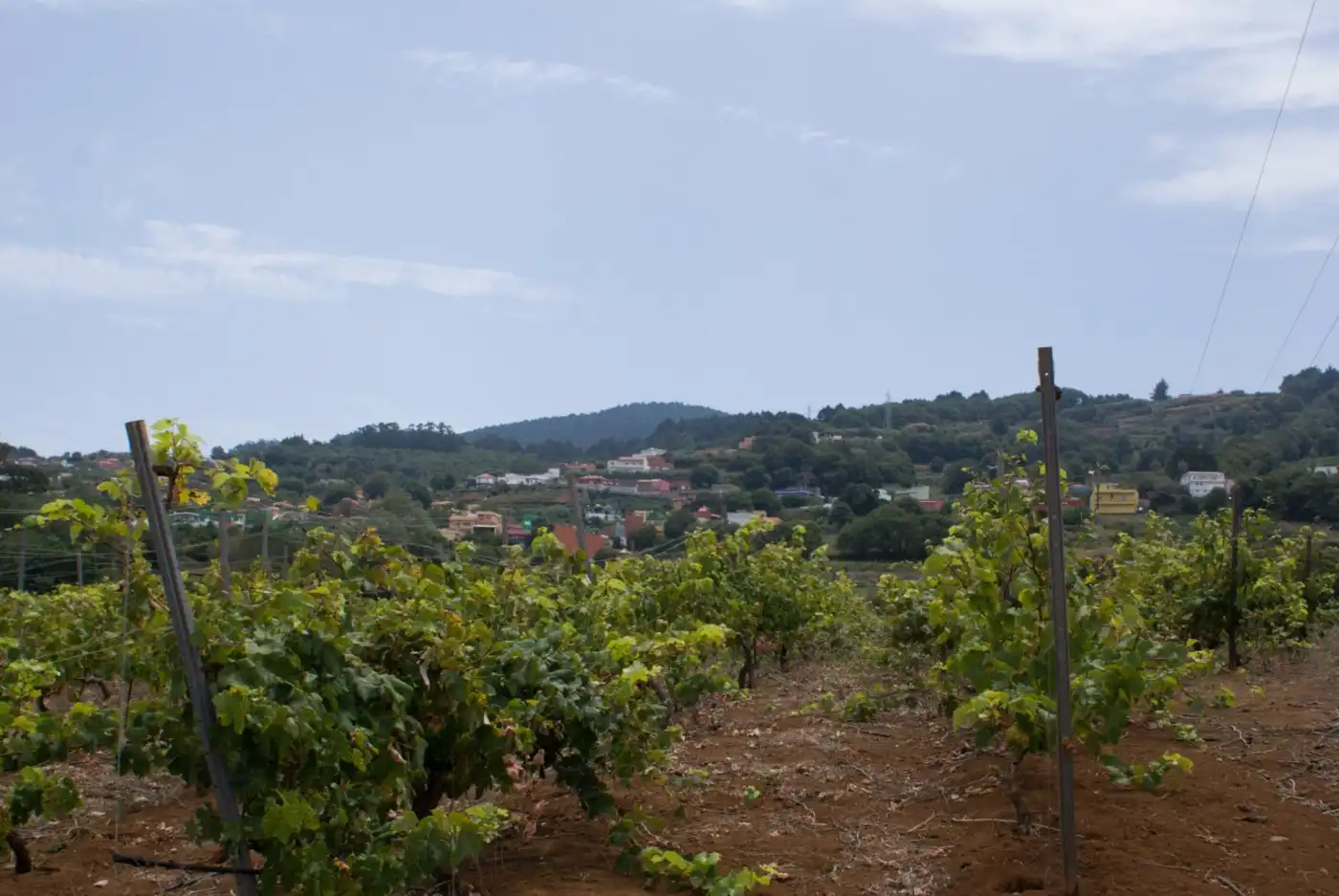 Vista exterior de Terreny en venda en El Sauzal