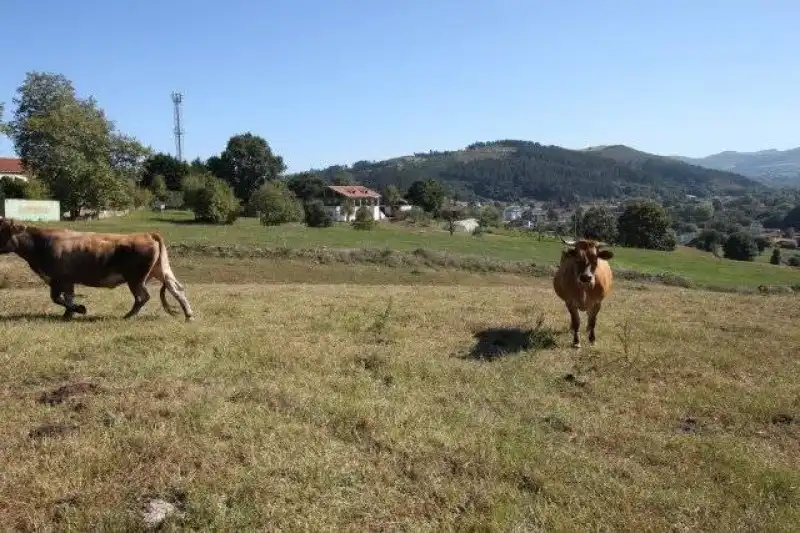 Vista exterior de Casa o xalet en venda en Riotuerto amb Calefacció i Jardí privat