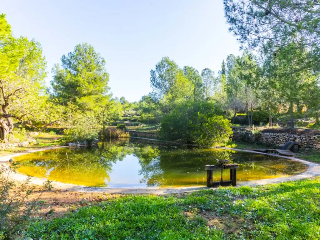 Jardí de Casa o xalet en venda en Borriol