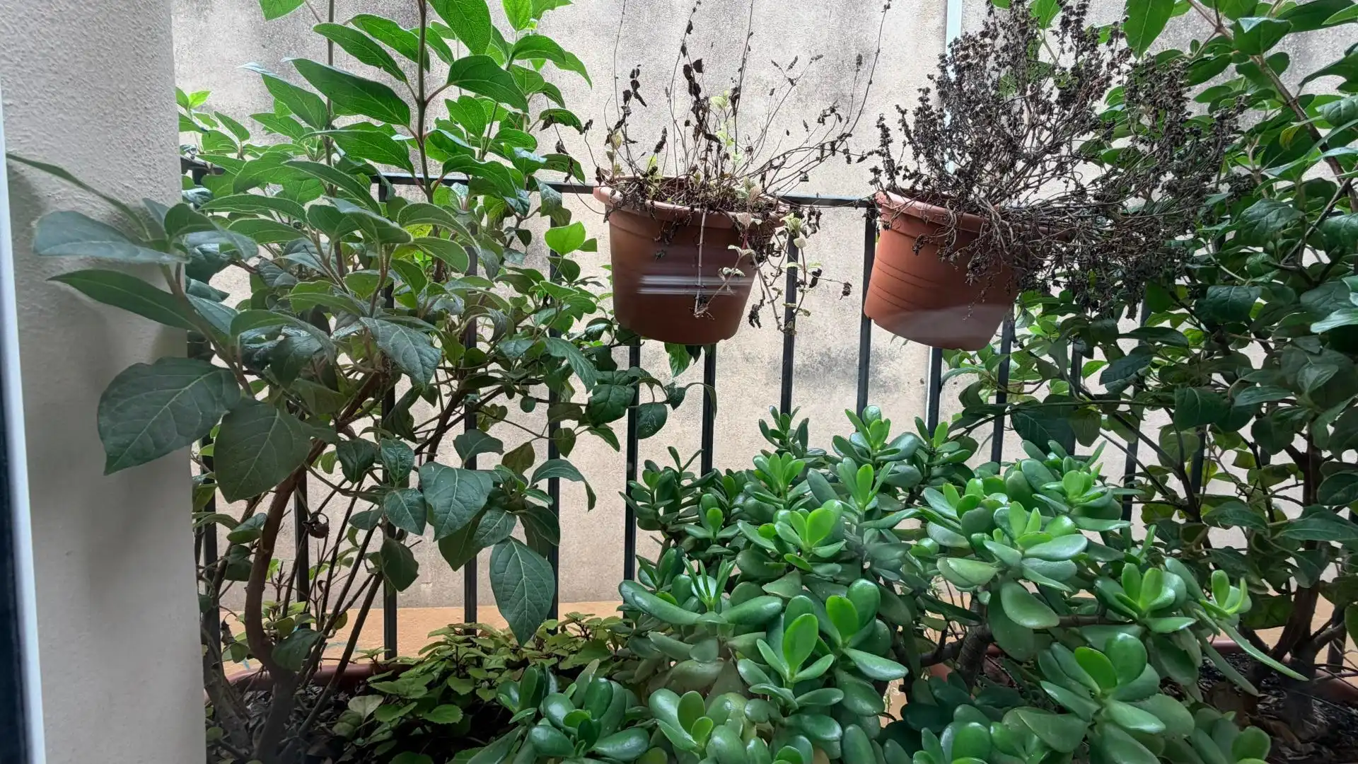 Terraza de Casa o chalet en venta en Vilafranca del Penedès con Aire acondicionado, Terraza y Balcón