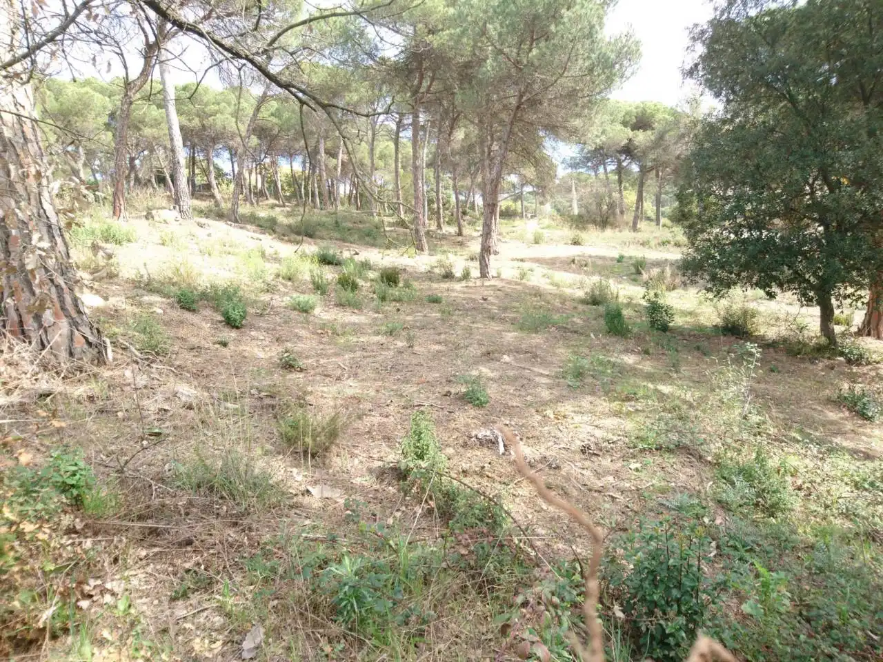 Terreny residencial en venda a Vilanova del Vallès, imagen 23