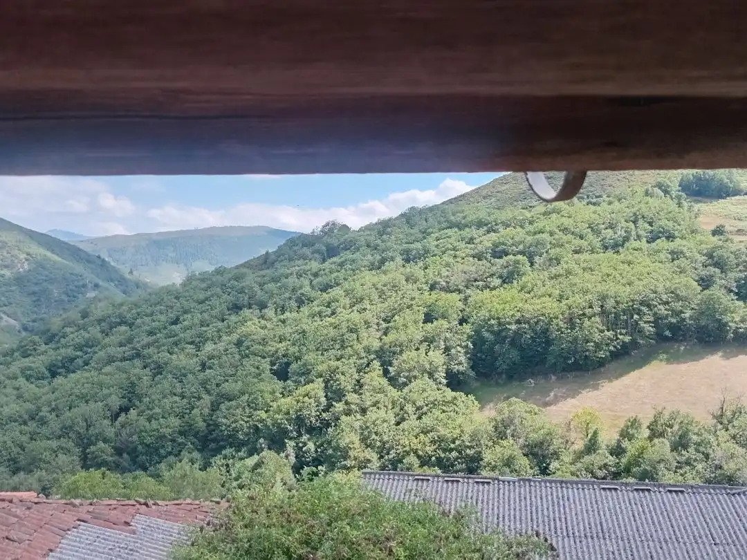 Terrassa de Casa o xalet en venda en Tineo amb Terrassa