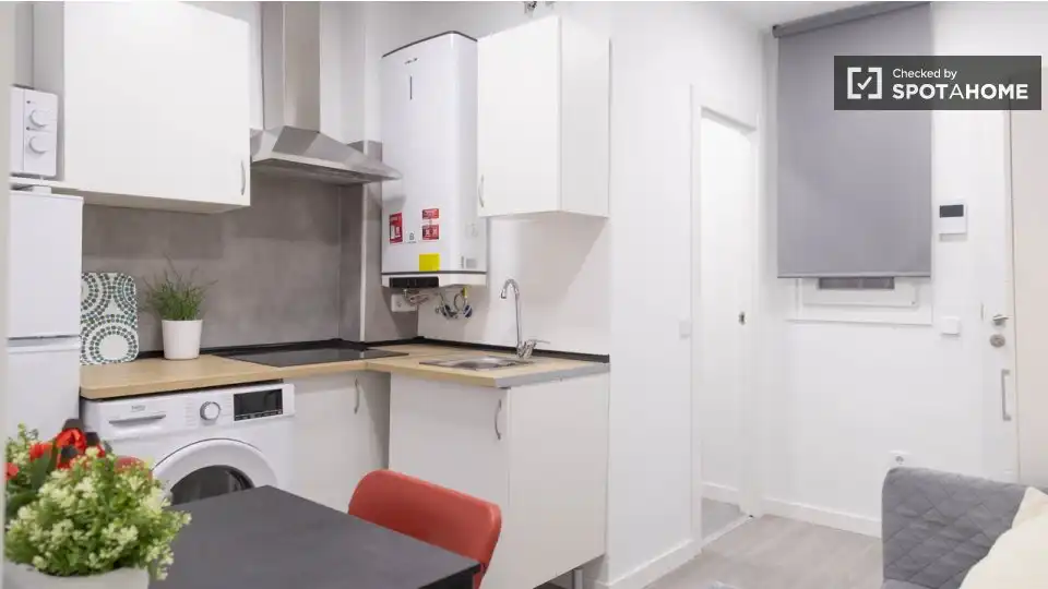 Appartamento con terrazza in affitto a Barrio de Salamanca, imagen 4