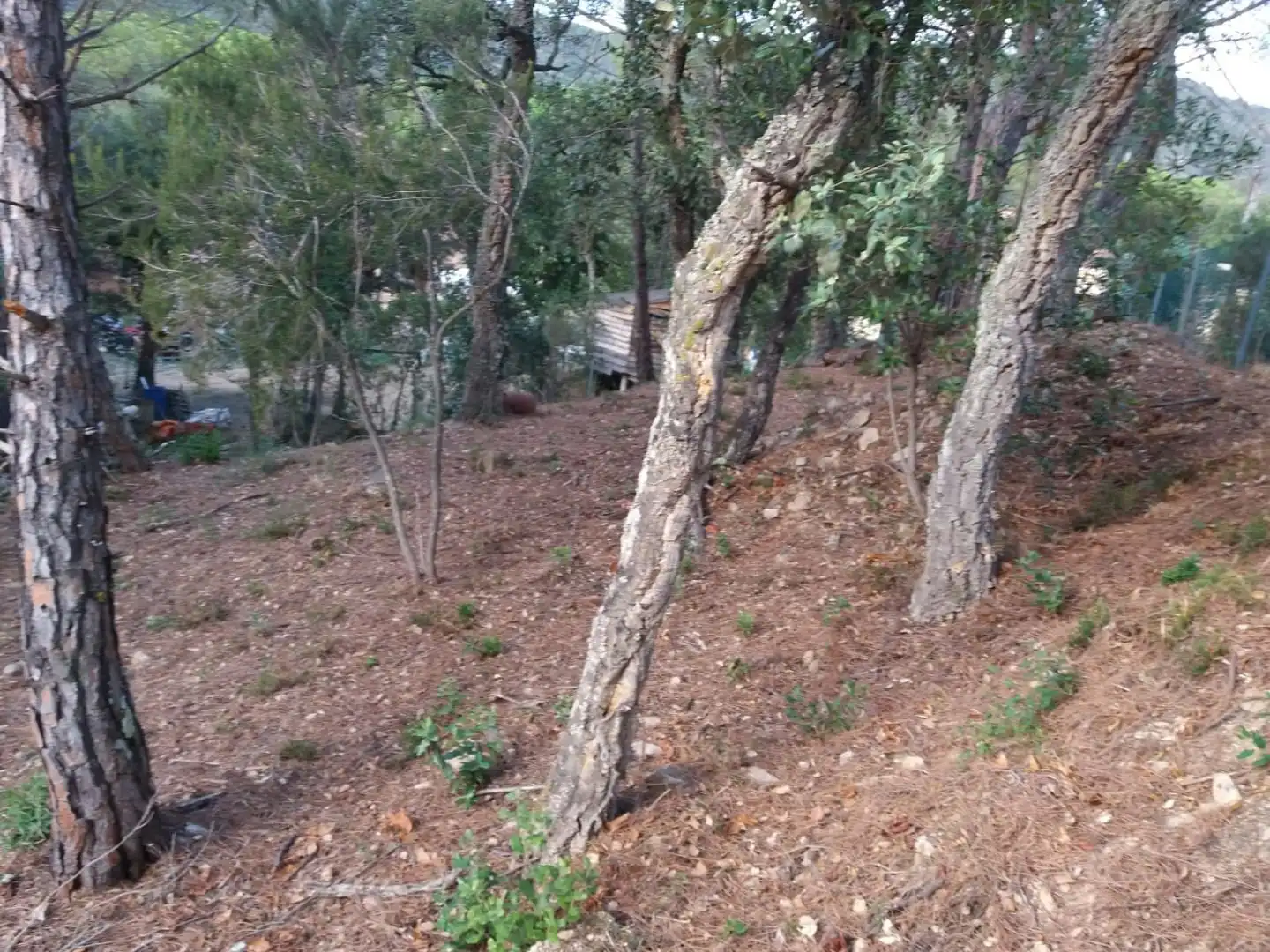 Terreno residencial en venta en Avinguda del Bell-lloc, imagen 10