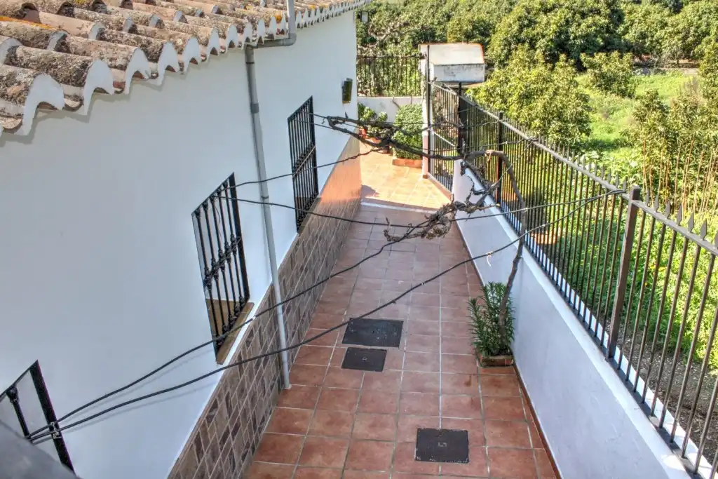 Vista exterior de Finca rústica en venta en Benamargosa con Aire acondicionado, Jardín privado y Terraza