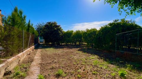 Foto 4 de Finca rústica en venda a Pedreguer, Alicante