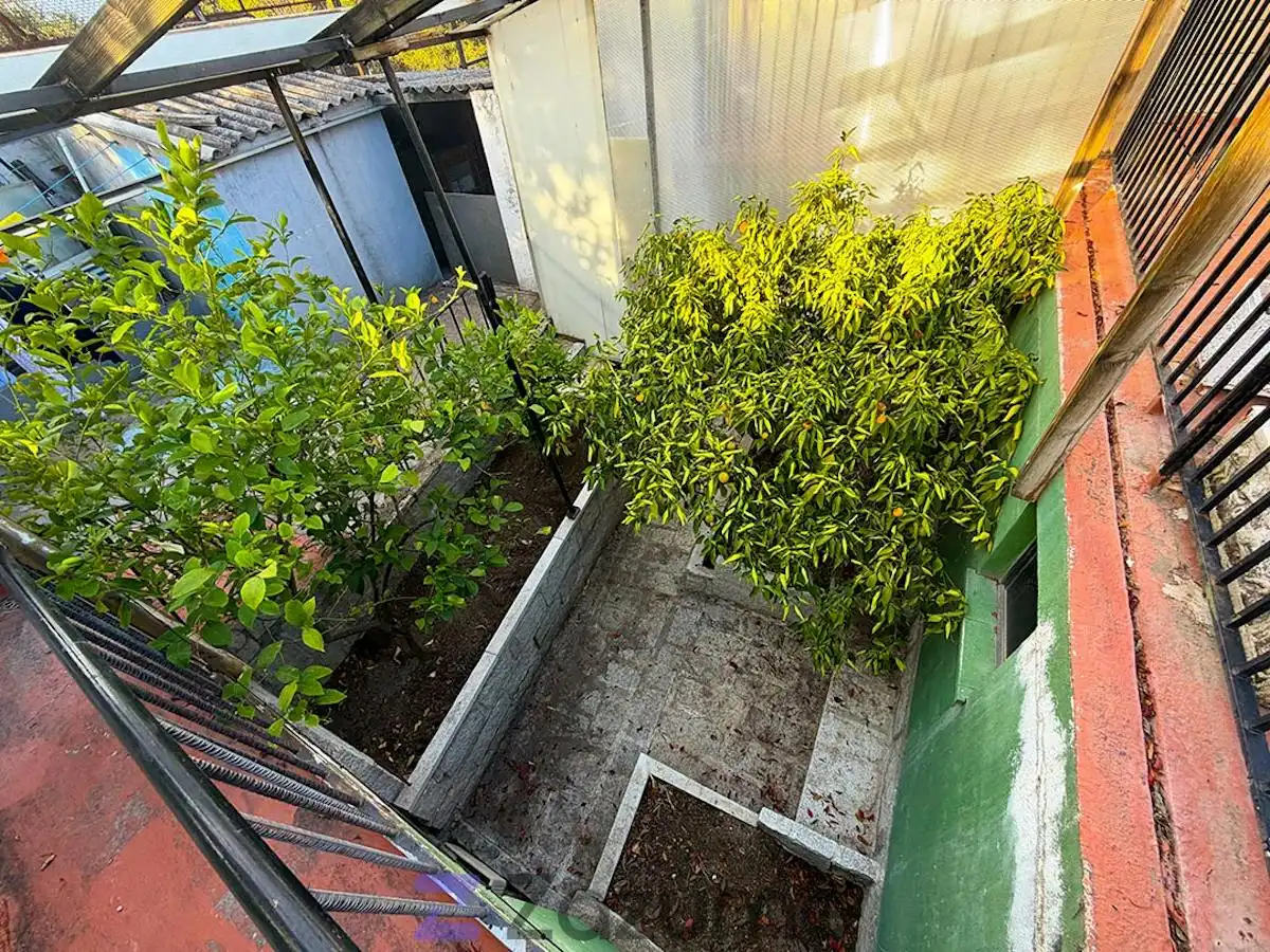 Villa con piscina in affitto a C. de los Tilos I, imagen 46