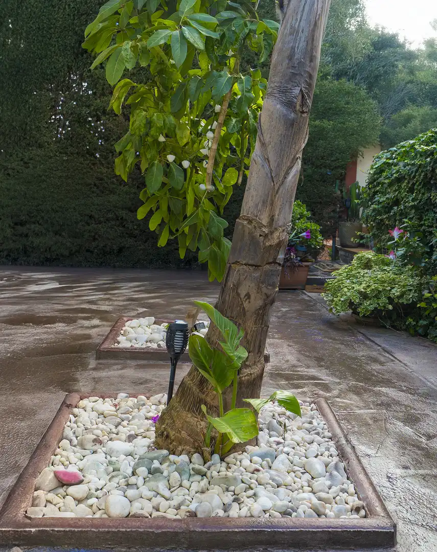 Jardín de Casa adosada en venta en Benalmádena con Terraza, Piscina y Internet