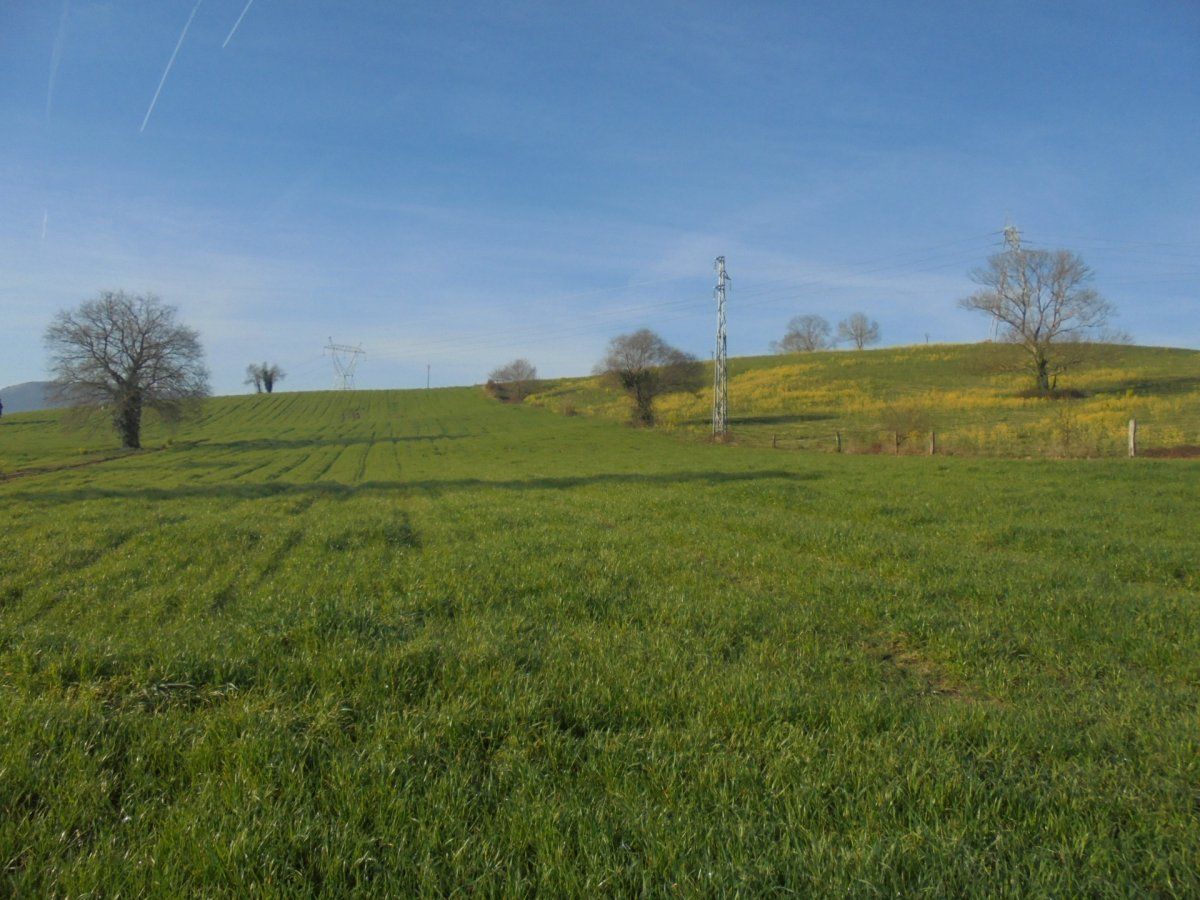 Land for sale in Penagos
