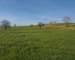 Grundstücke zum verkauf in Penagos