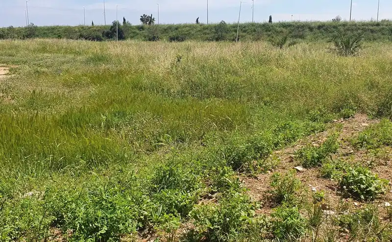 Terreno residencial en venta en TERRABONA PARCELA 109 y 108 del PL Nº 13, imagen 9
