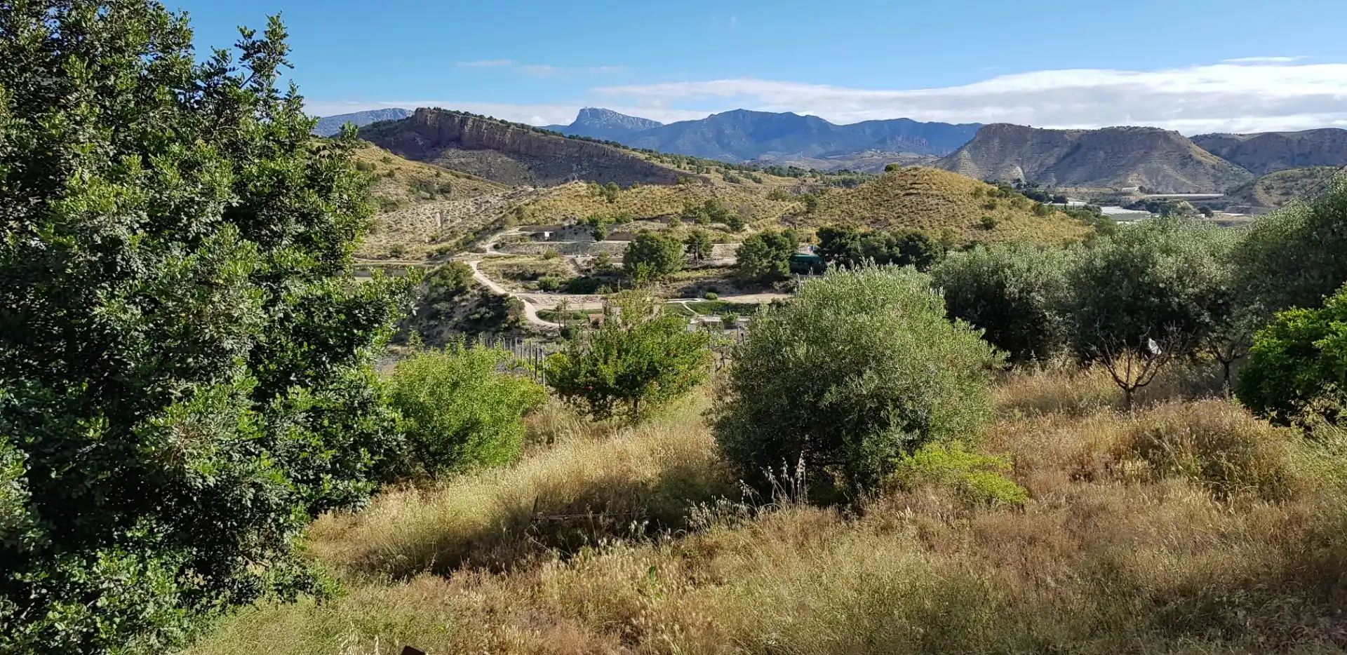 Casa o chalet en venta en Aledo con Terraza y Trastero