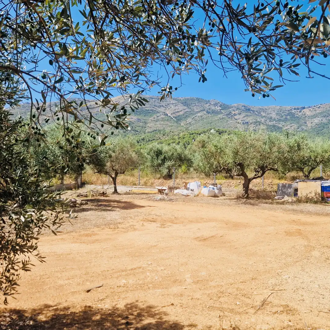Villa avec jardin à vendre à Parcent, imagen 23