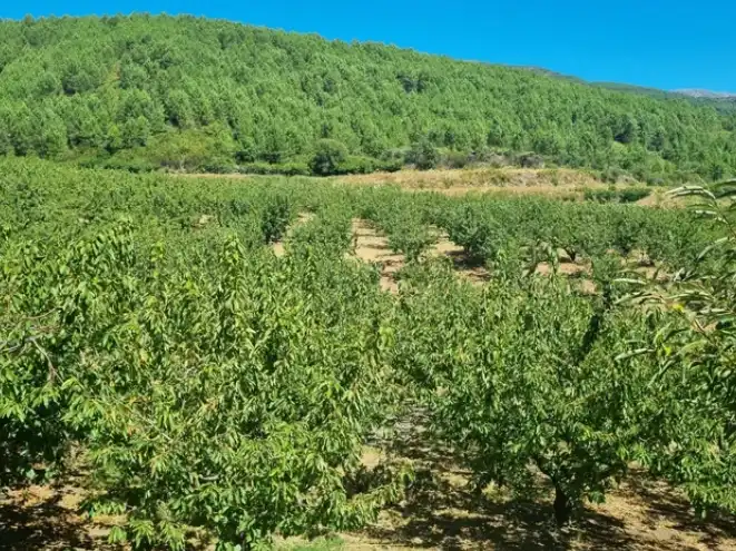 Terreni e lotti in vendita a Mombeltrán, imagen 8