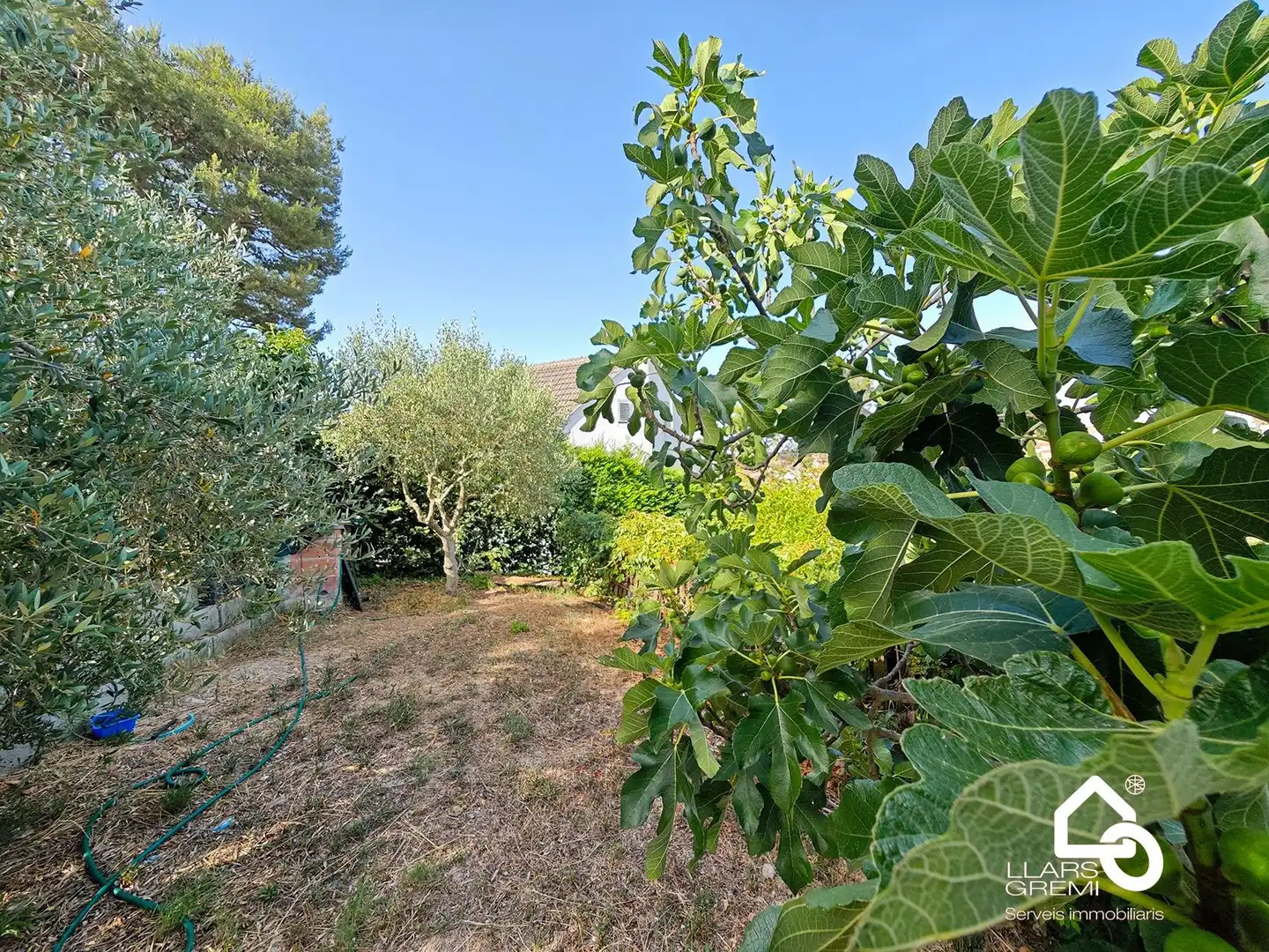 Jardín de Casa o chalet en venta en Òdena con Calefacción, Jardín privado y Terraza