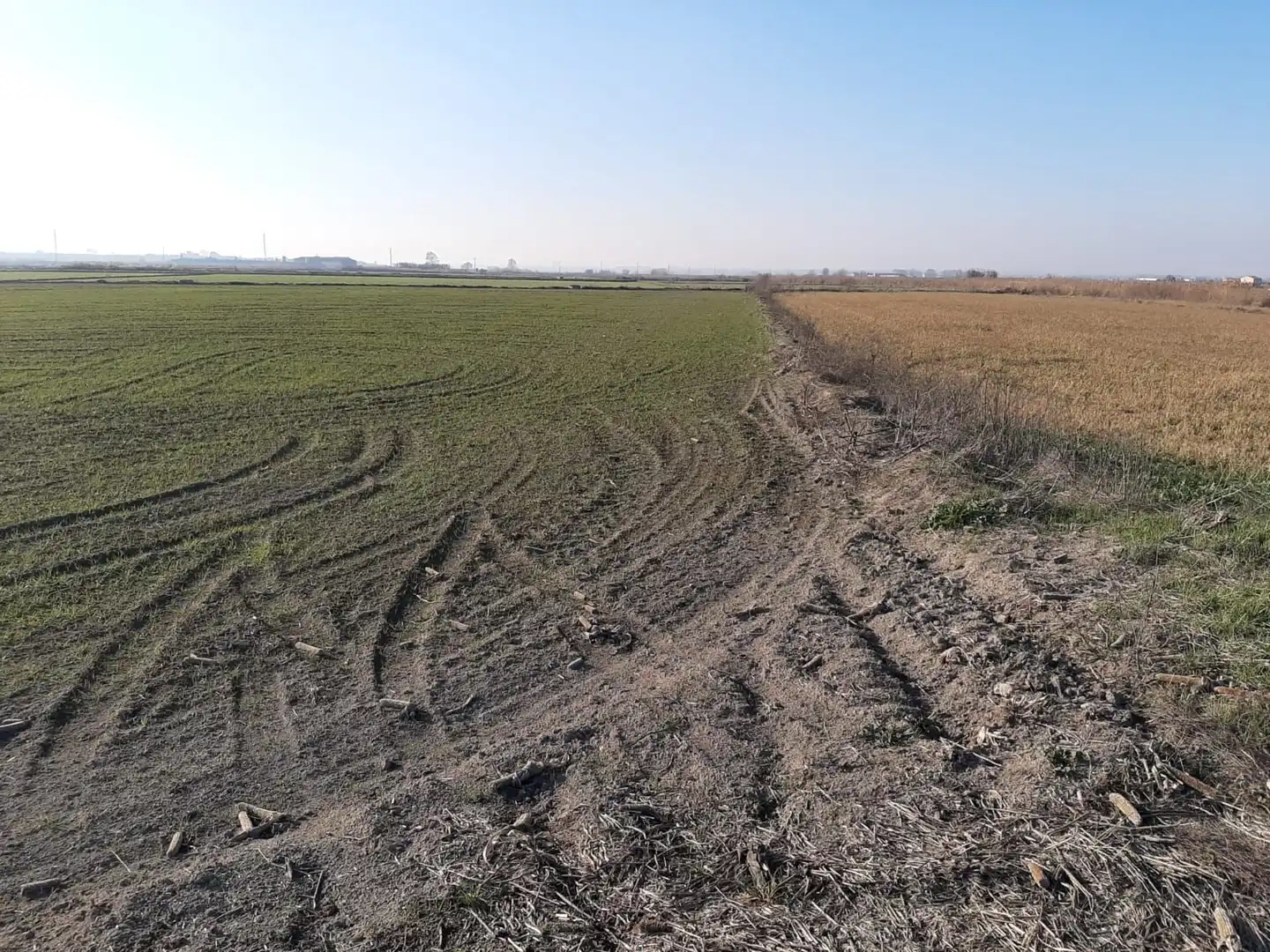 Rural land for sale in Avinguda Balaguer 1981, imagen 7
