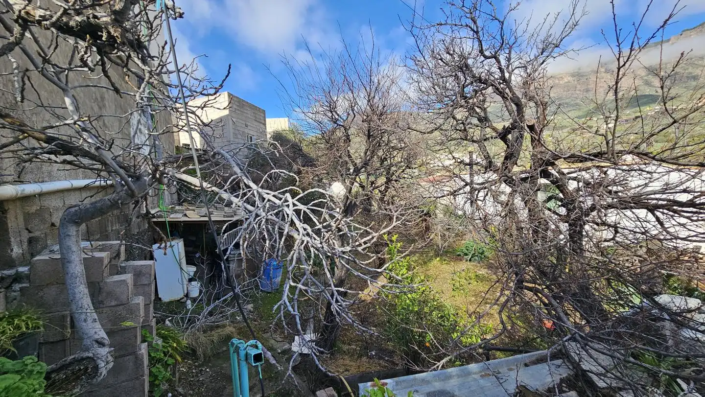 Jardí de Casa o xalet en venda en San Bartolomé de Tirajana amb Jardí privat, Terrassa i Piscina