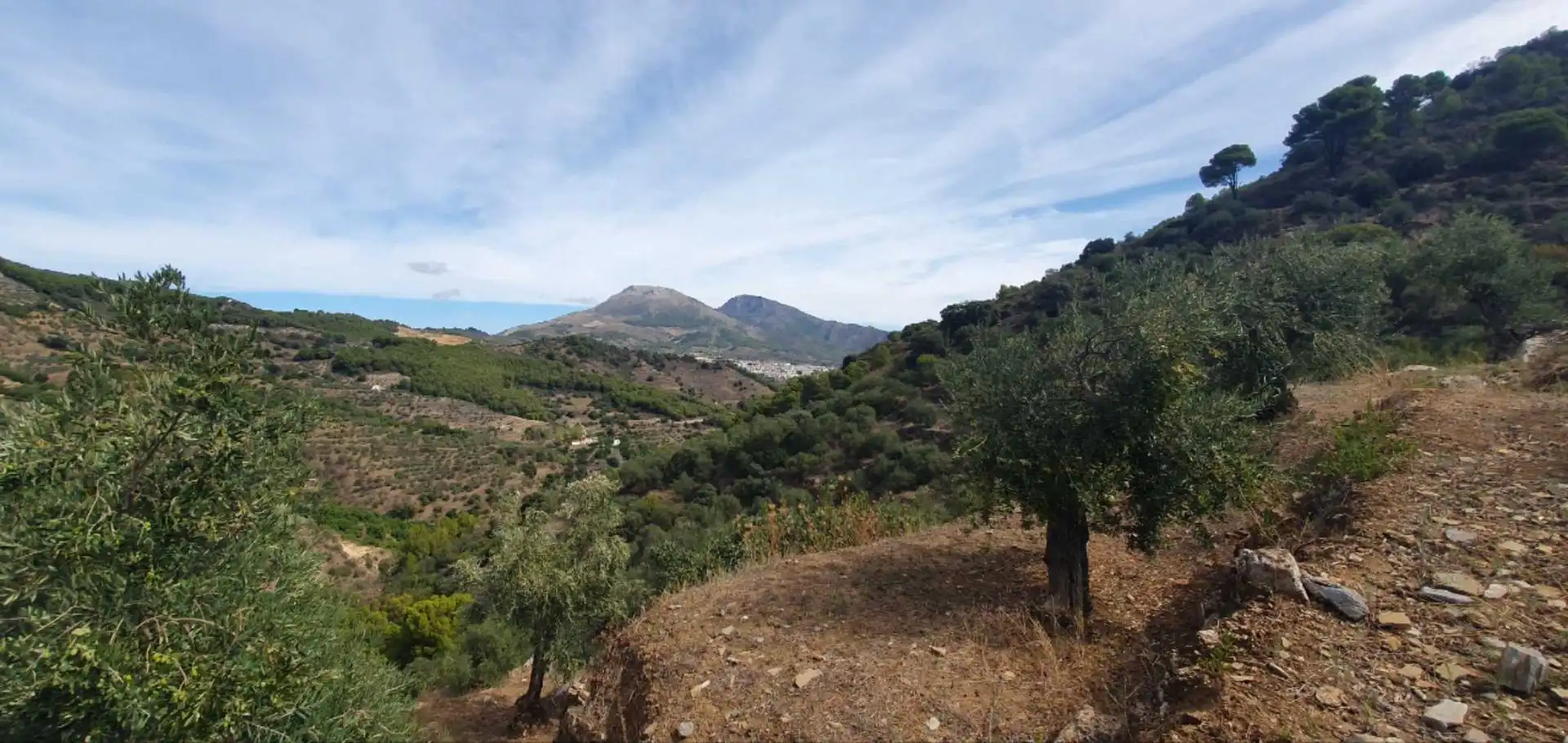 Terreni e lotti in vendita a Yunquera, imagen 10