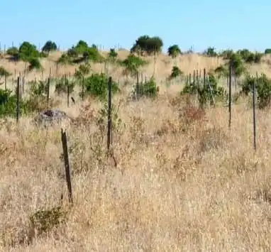 Terrenys i solars en venda a Higuera de Llerena, imagen 3