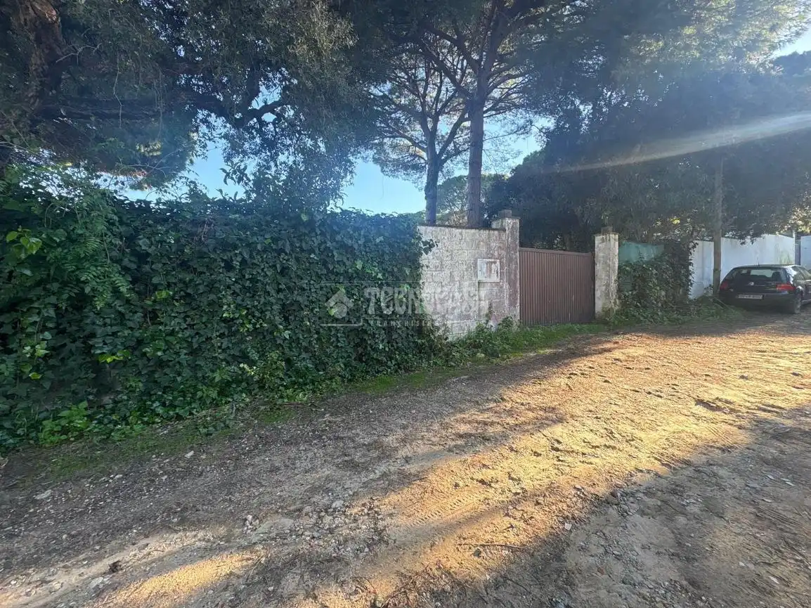Finca rústica en venda en Barbate