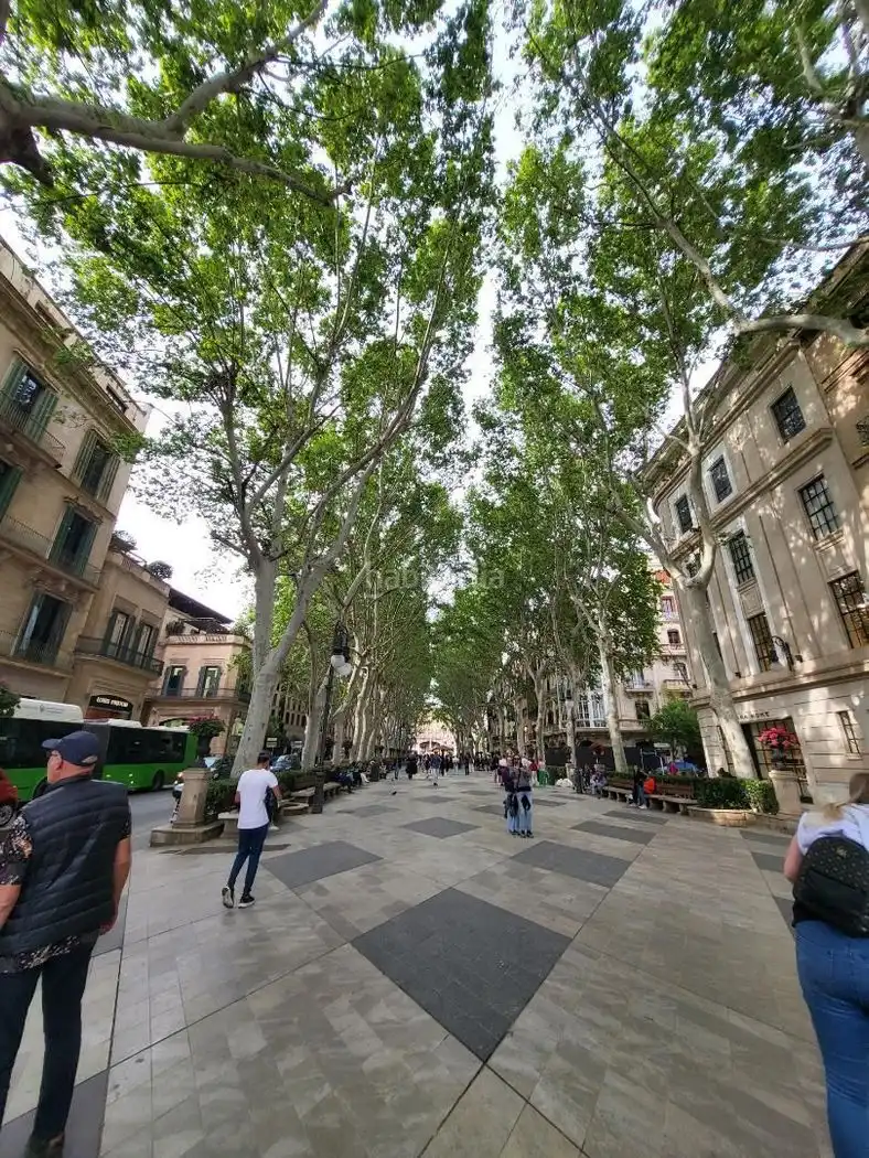 Pis de lloguer a Carrer del Vi 20, imagen 19