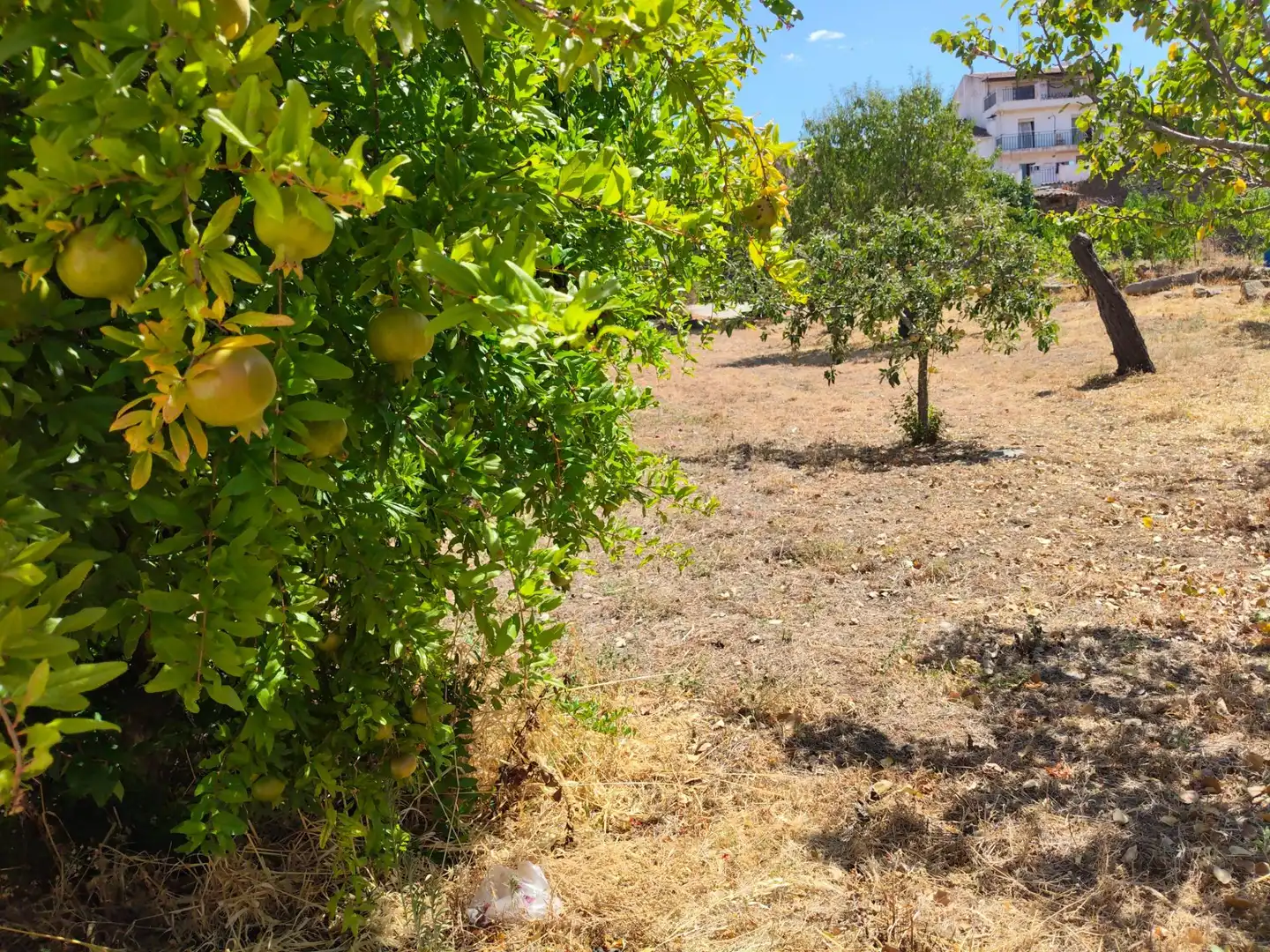 Residencial en venta en Vilvestre, Salamanca
