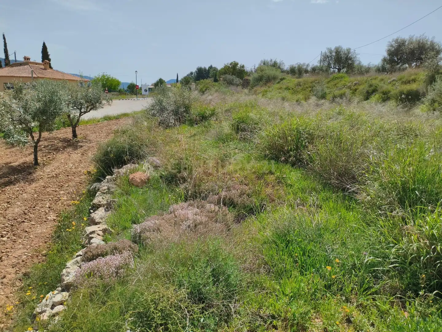 Terrain rustique à vendre à 46175 Calles, Spain, imagen 7