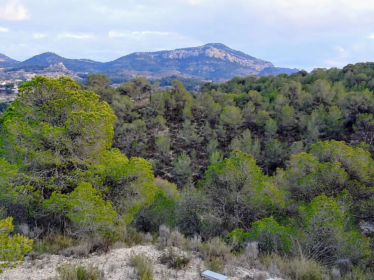 Terreno rustico in vendita a N/A, imagen 16