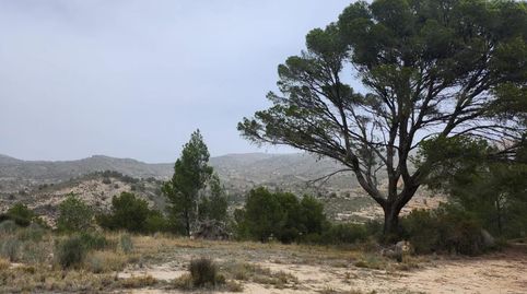SE VENDE PARCELA   27.000 MTS  FACIL ACCESO  TIBI, immagine 2