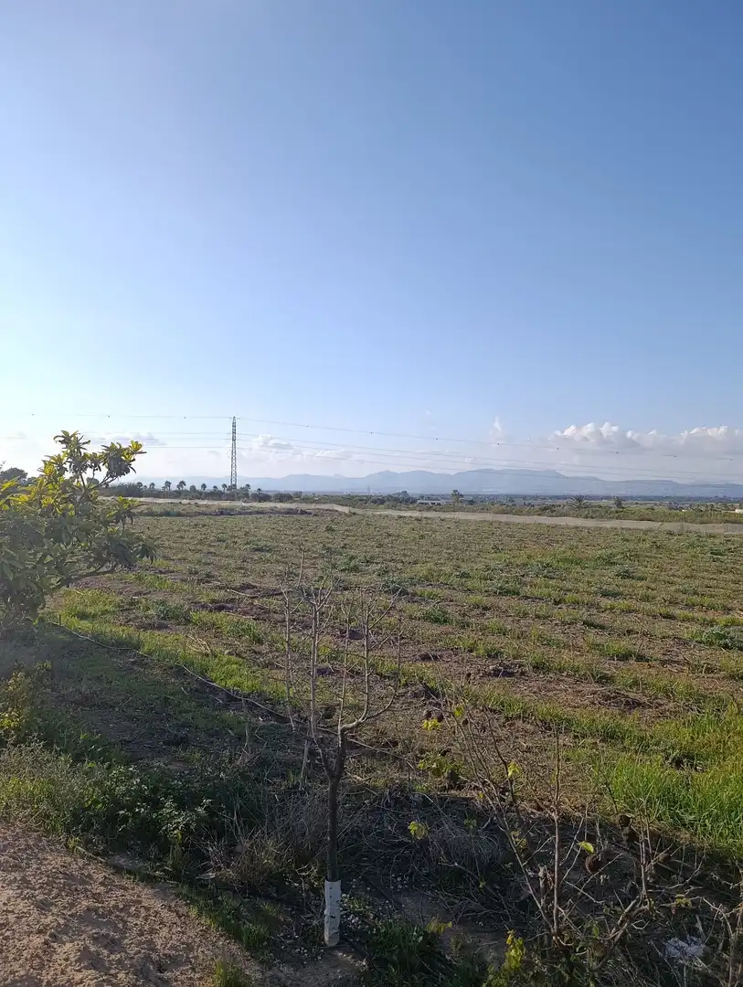 Terrain rustique à vendre à La Marina, imagen 3