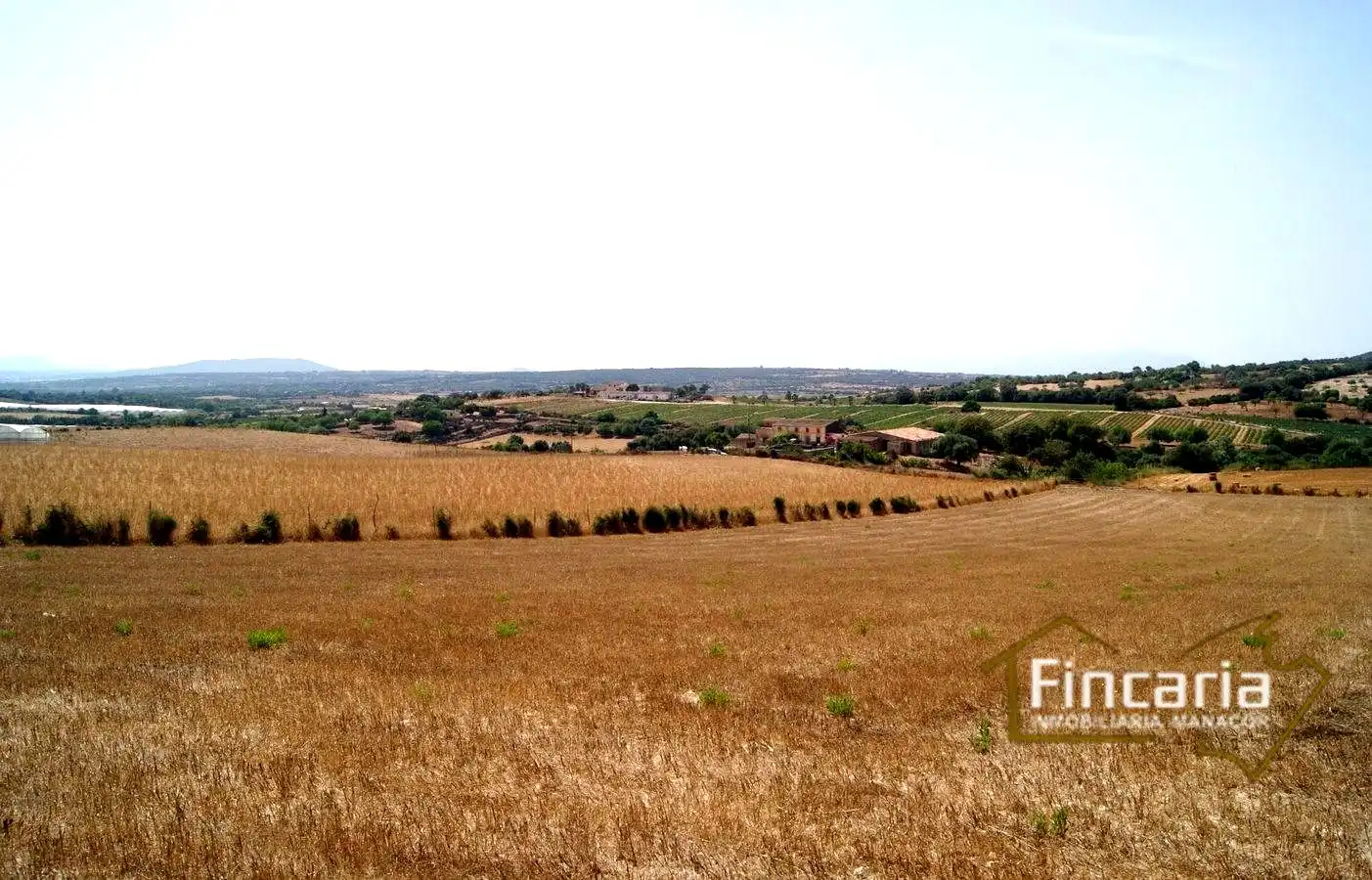 Terrenys i solars en venda a Camí de sa Murtera, imagen 15