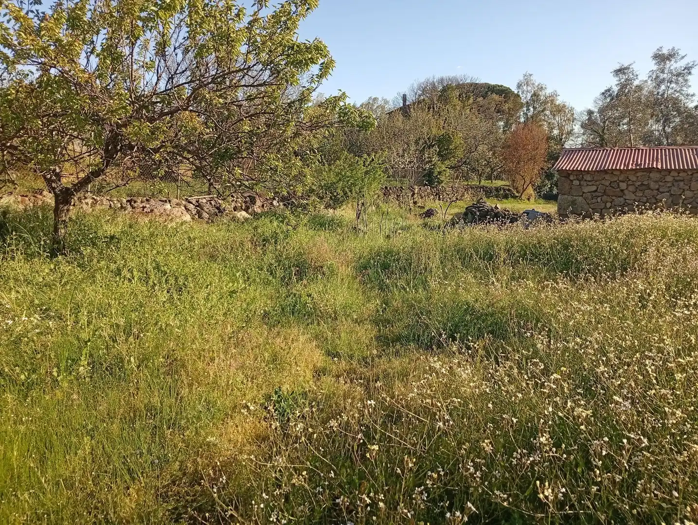 Terreno en venta en Valverde de la Vera