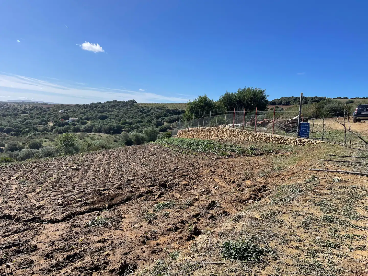 Terreno rustico in vendita a Arcos de la Frontera, imagen 10