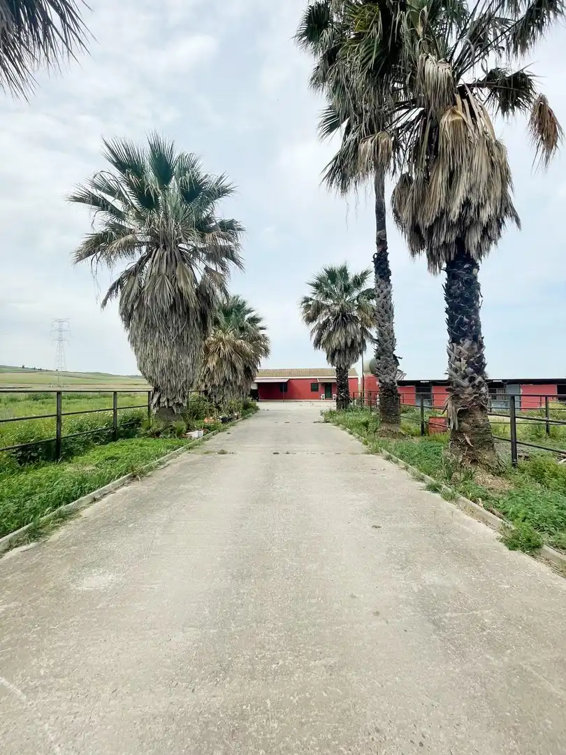 Vista exterior de Finca rústica en venda en Niebla amb Terrassa