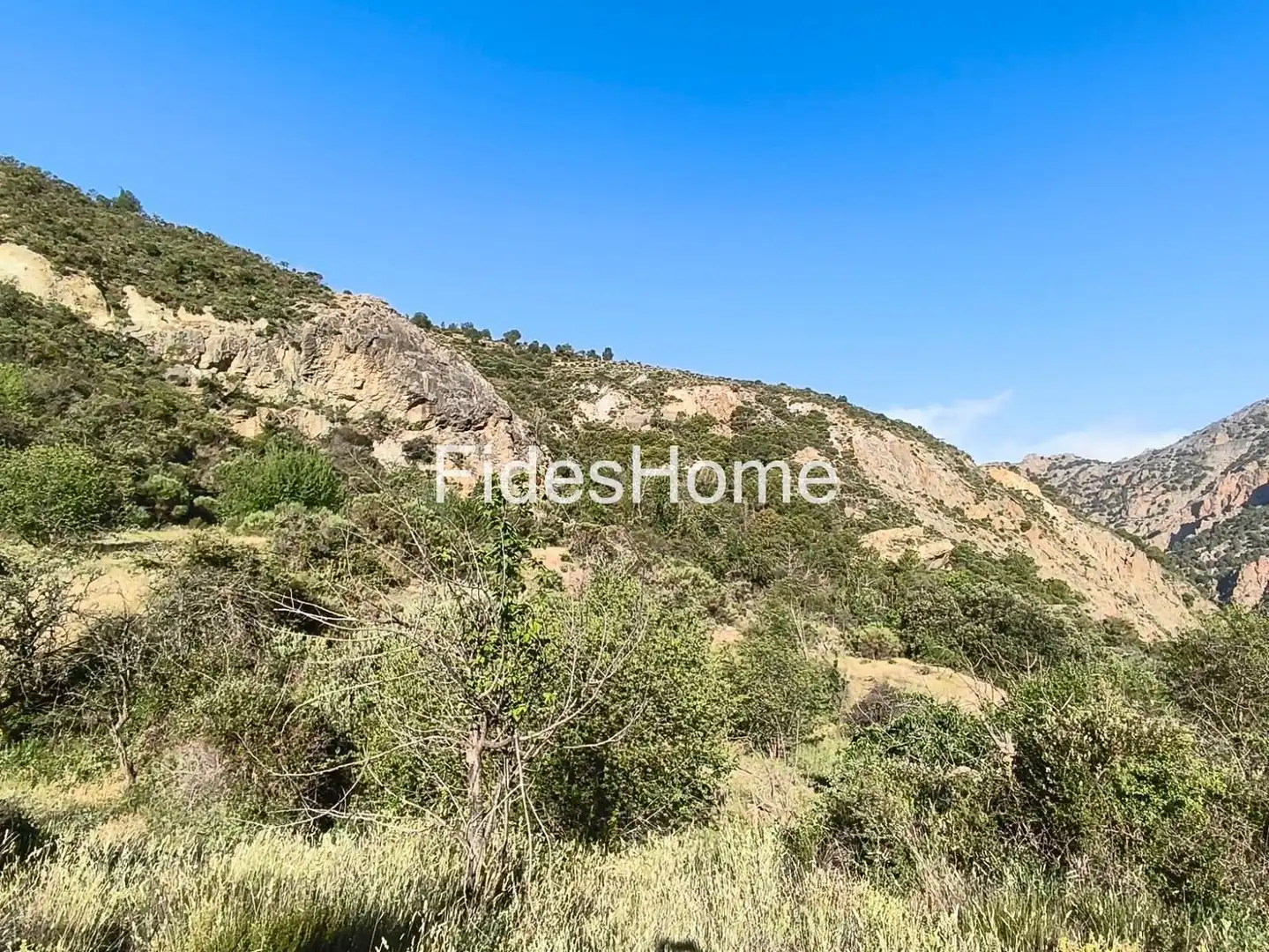 Rural land for sale in XFPP+9QX Nigüelas 0, imagen 2
