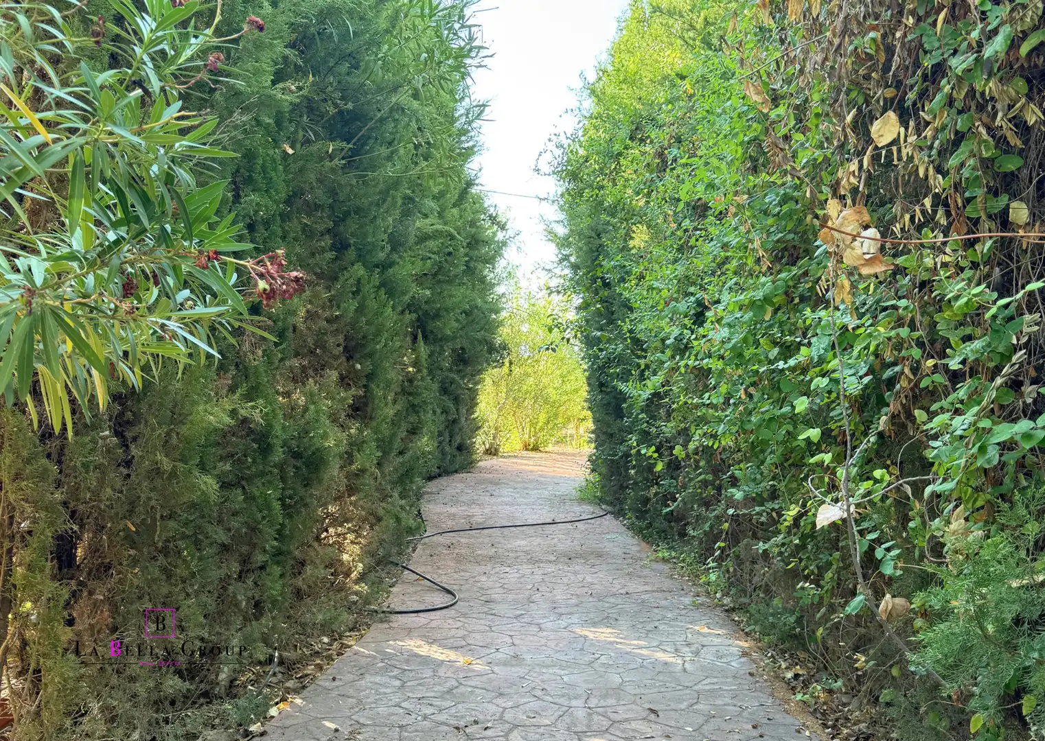 Jardí de Finca rústica en venda en Santa Cruz de Mudela amb Aire condicionat, Jardí privat i Terrassa