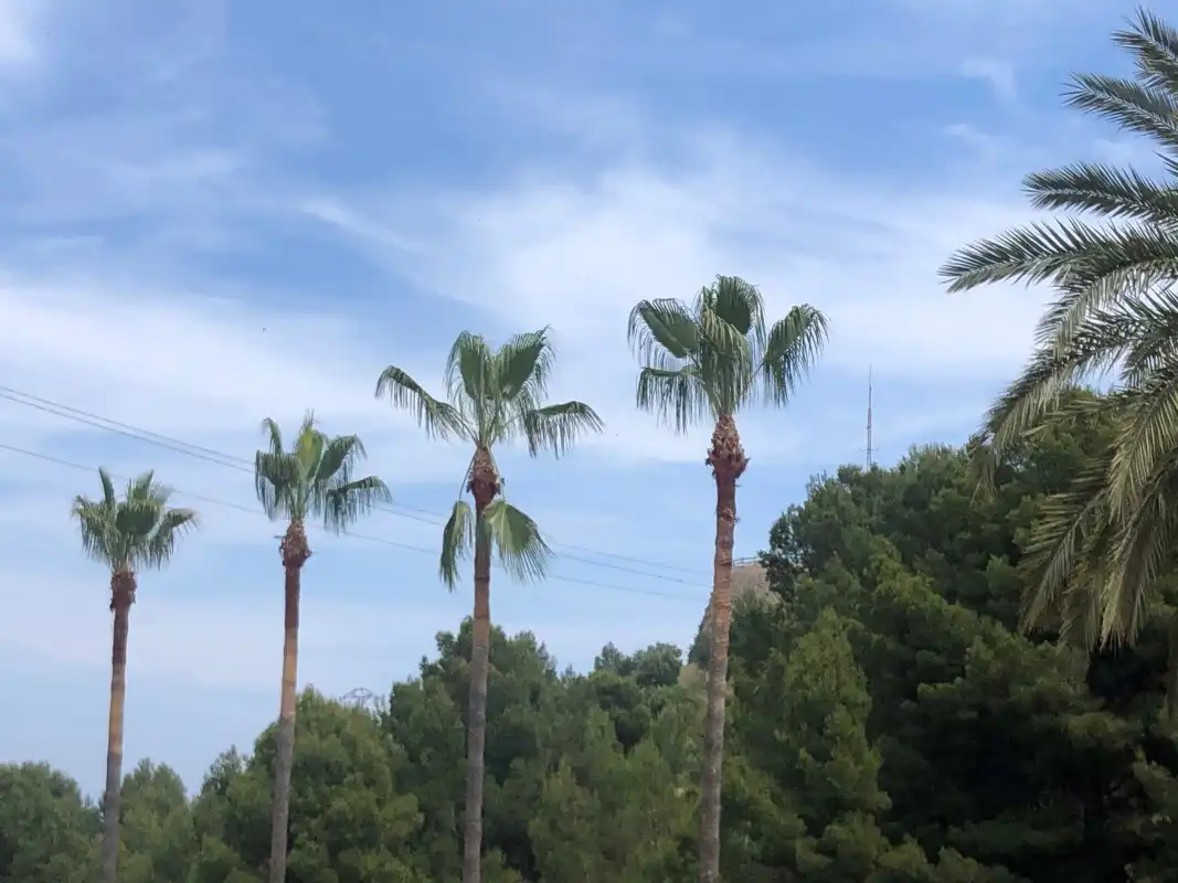 Villa mit Pool zum Verkauf in Oliva pueblo, imagen 33