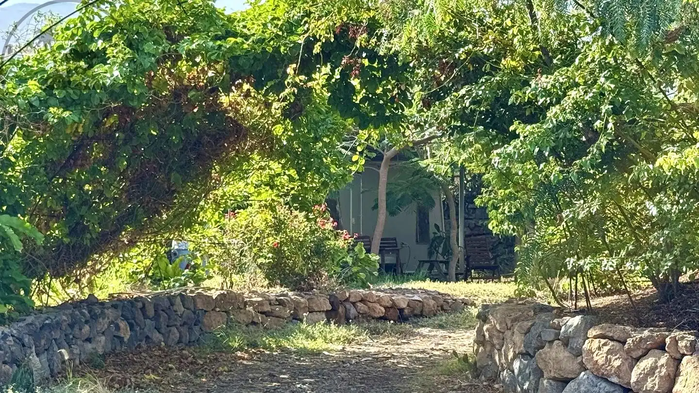 Jardí de Finca rústica en venda en Buenavista del Norte amb Jardí privat i Terrassa
