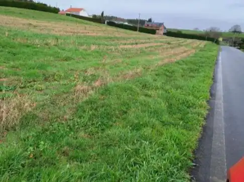Terreno rustico in vendita a San marcos 20, imagen 2