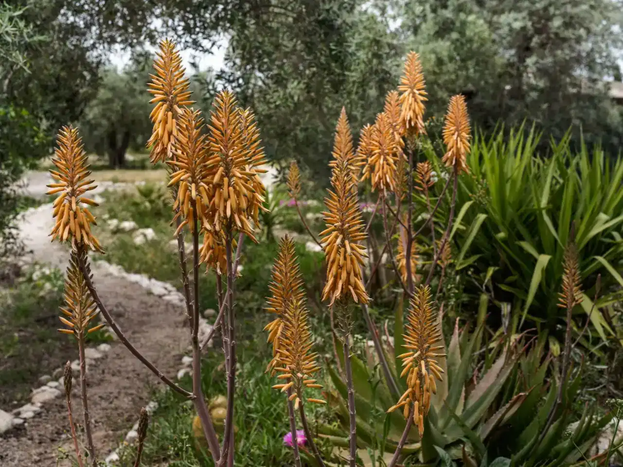 Jardín de Piso en venta en Calasparra con Aire acondicionado, Piscina y Amueblado