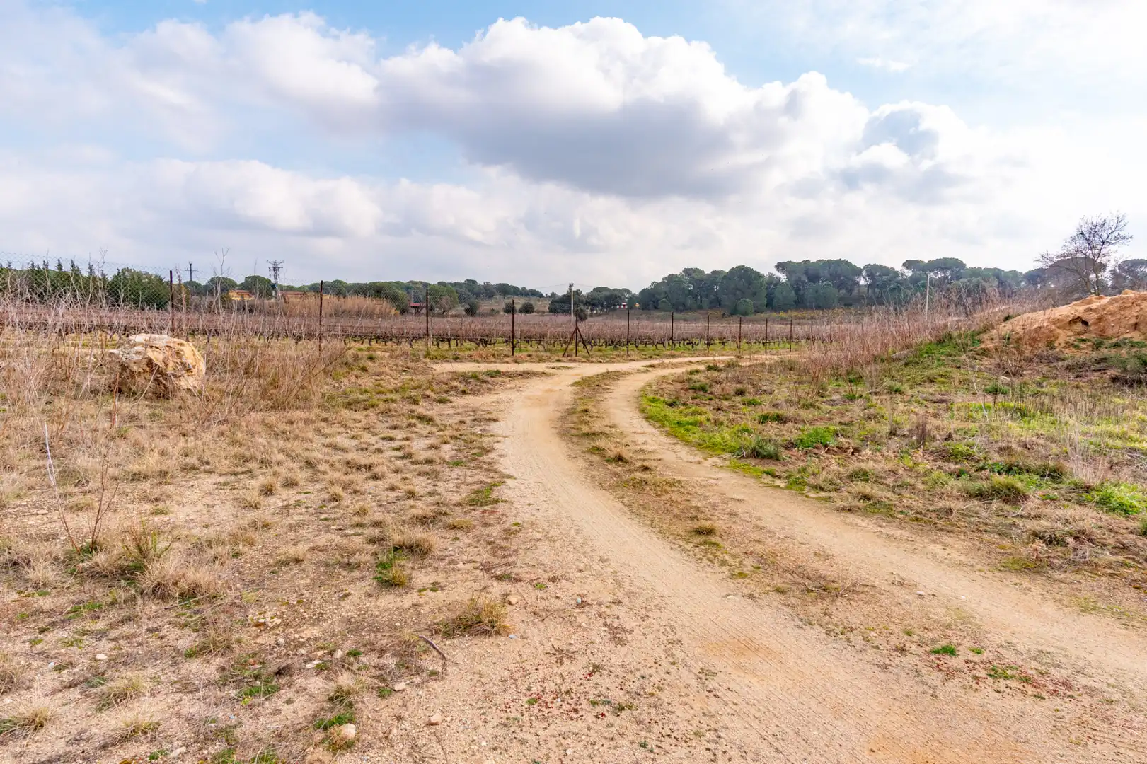 Residential land for sale in Capmany, imagen 14
