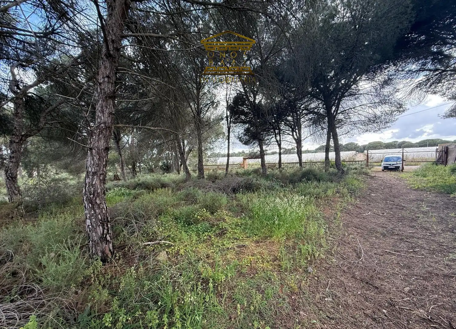 Terreno en venta en Almonte
