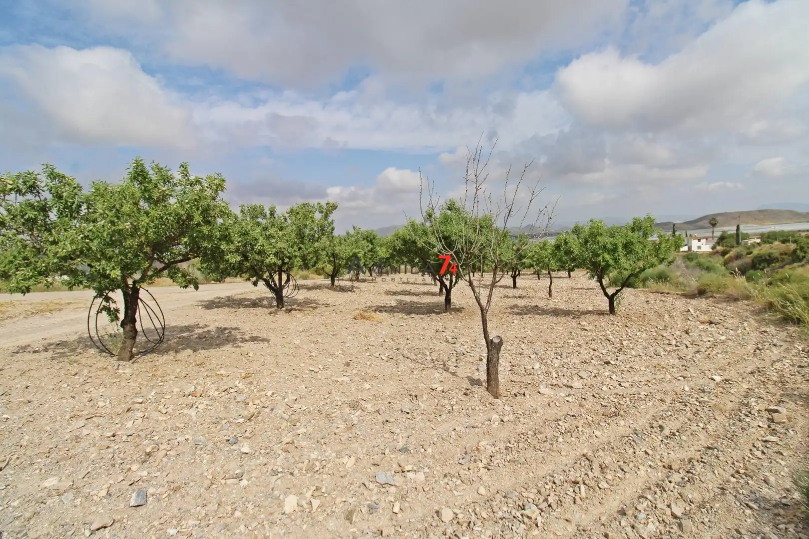 Terrains et parcelles à vendre à Pedanías Sur, imagen 12
