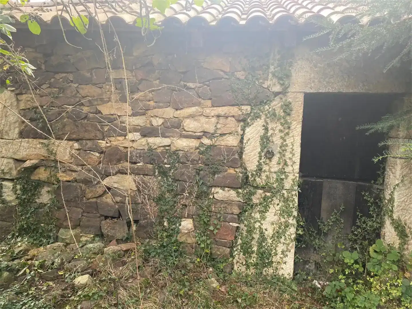 Finca rústica en venta en Belmonte de Miranda, Asturias