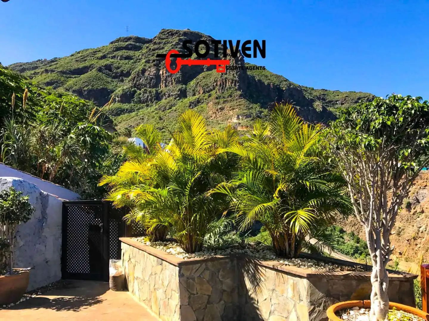 Vista exterior de Casa o chalet de alquiler en Los Realejos con Jardín privado y Terraza
