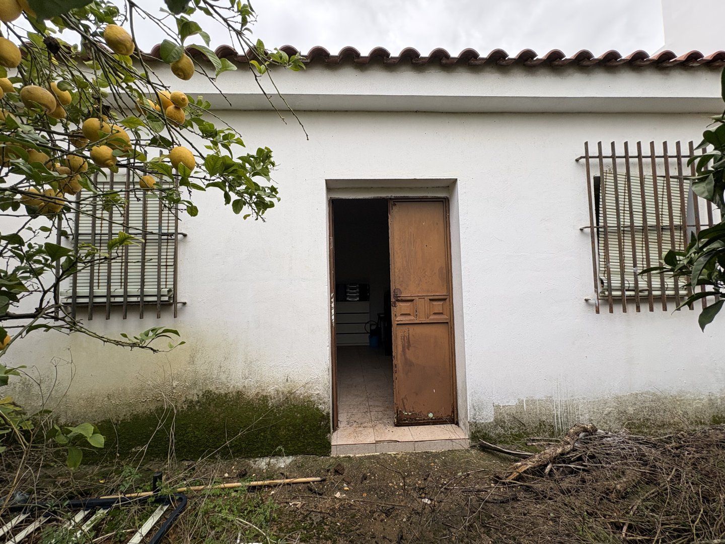 Exterior view of Single-family semi-detached for sale in Albaida del Aljarafe