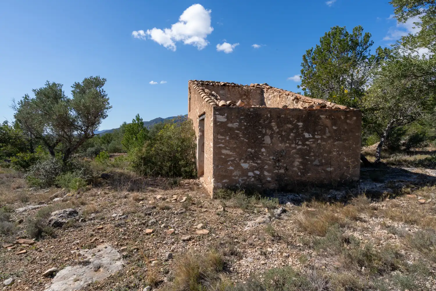 Terrain rustique à vendre à Xerta, imagen 42