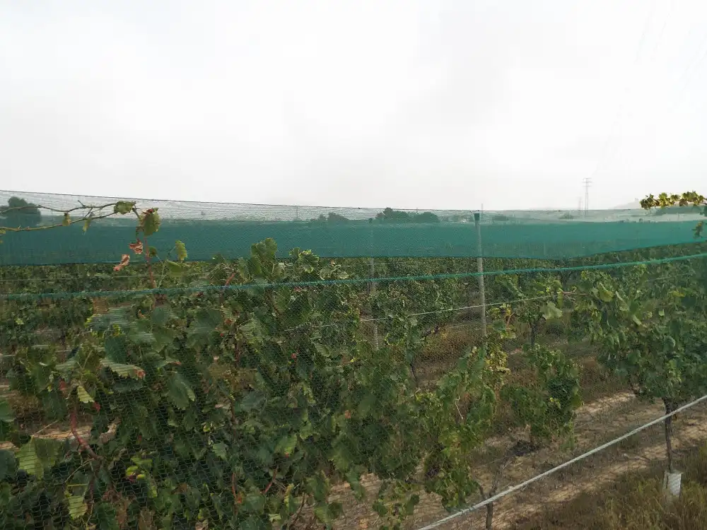 Terreno residencial en venta en Monforte del Cid, imagen 19
