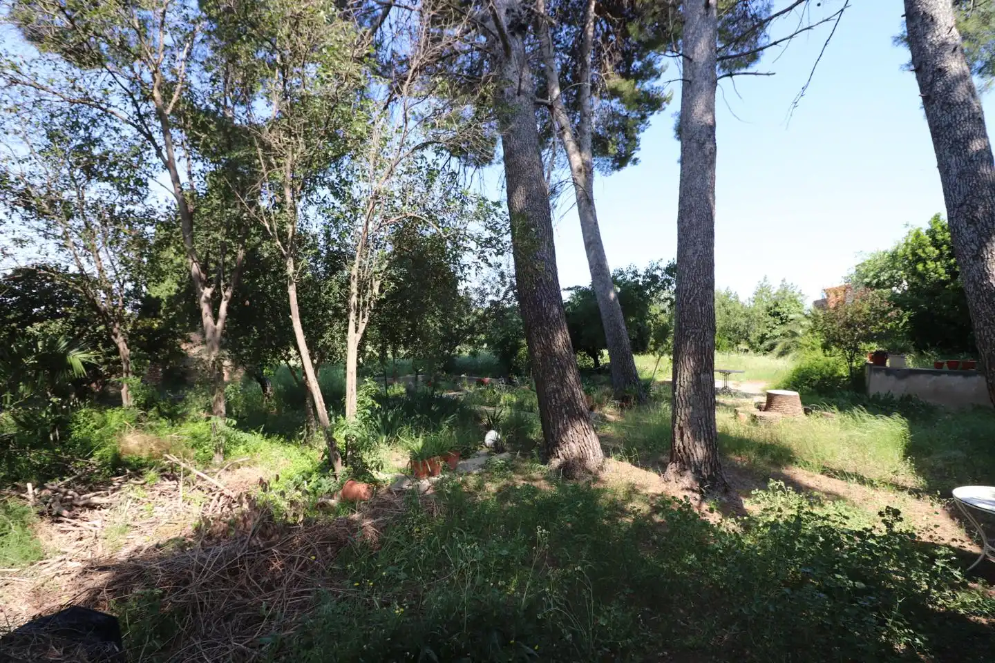 Casa amb jardí en venda a Los Toros, imagen 5